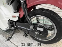 スズキ バーディー50