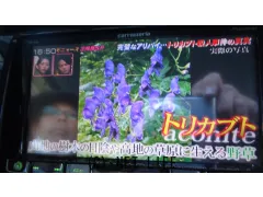 TV・カーナビ フルセグ、ナビ、DVD、ラジオ、ブルートゥース