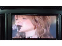 TV・カーナビ フルセグ、ナビ,DVDラジオ