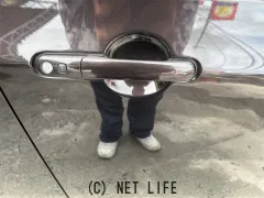 スズキ アルトラパン