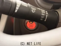 光岡自動車 ビュートなでしこ