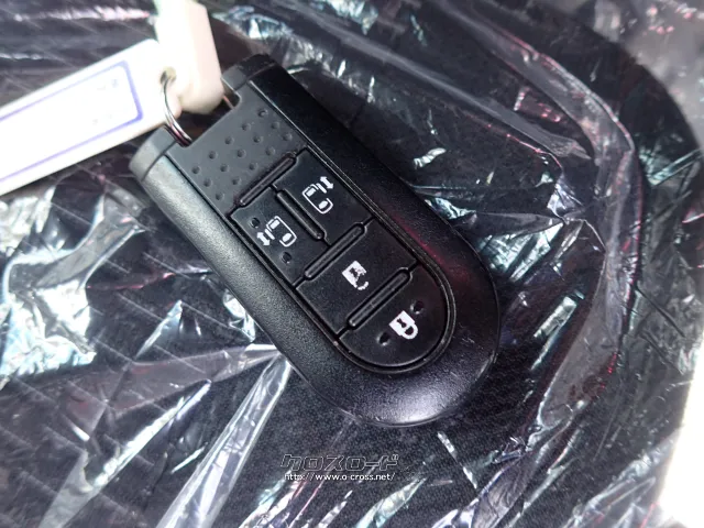 トヨタ ピクシスメガ