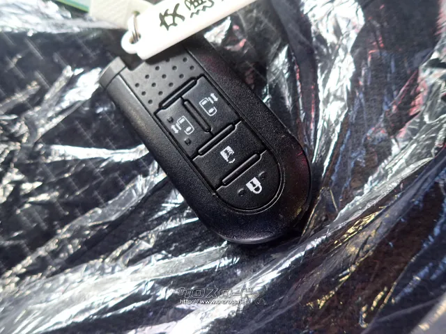 トヨタ ピクシスメガ