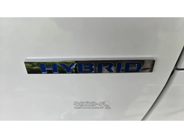 三菱 デリカミニ