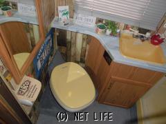 フォード その他