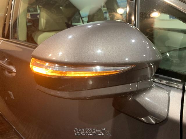 オートリトラウィンカーミラー トヨタ SAI