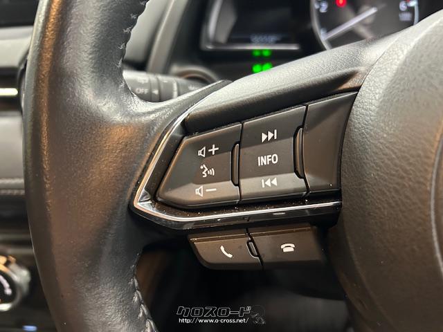 手元で楽々オーディオ操作!ステアリングスイッチ マツダ デミオ