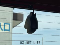 ホンダ フリード+