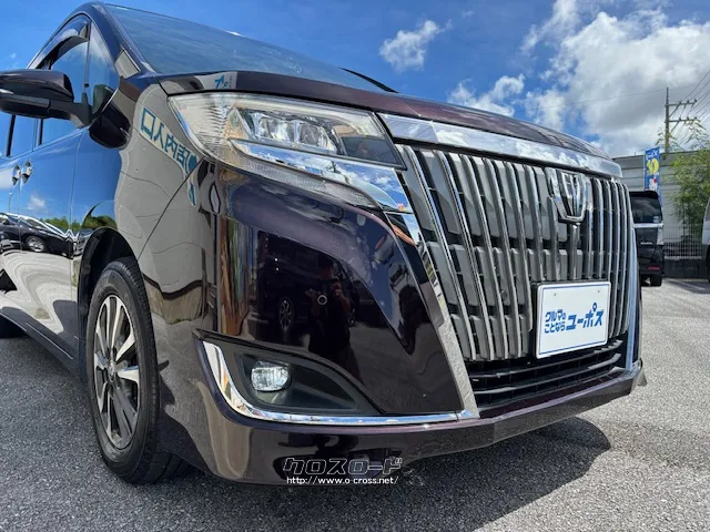 保証にご加入でもれなくメンテナンスパックがついてくる。 トヨタ エスクァイア