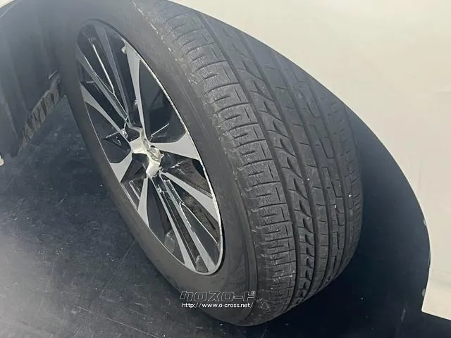 保証でカバーする範囲は業界最高水準の最大318項目! トヨタ SAI