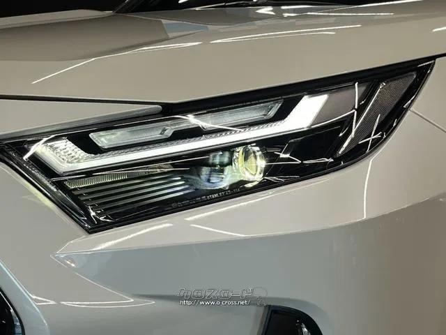 保証でカバーする範囲は業界最高水準の最大318項目! トヨタ RAV4 PHV