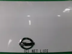 外装・エアロ ボンネット