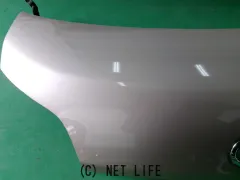 外装・エアロ タント　ボンネット