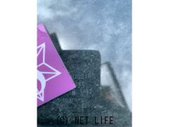 外装・エアロ リアガラス