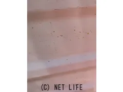 外装・エアロ DA16T キャリー 荷台 ふた エンジンカバー