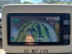 スズキ アルトラパン