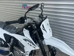 スズキ DR-Z400