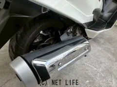 スズキ スカイウェイブ250