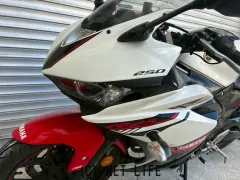 ヤマハ YZF-R25