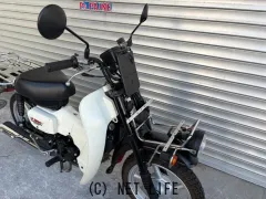 スズキ バーディー50