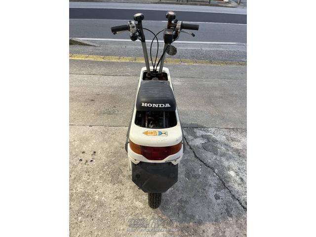 ホンダ モトコンポ・1981(S56)初度登録(届出)年・ホワイト・50cc