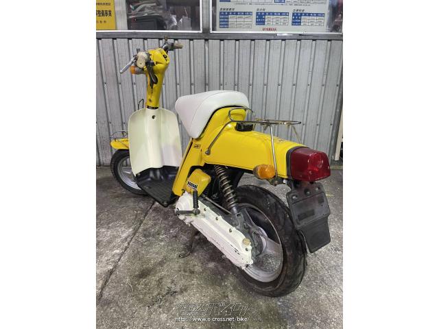 ヤマハ パッソル