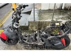 部品取車・ﾌﾚｰﾑ等 ｼｸﾞﾅｽX　SE44J
