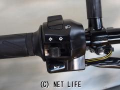 スズキ グラストラッカー