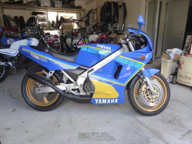 ヤマハ TZR250・青・250cc・FREE ROAD・疑義車(古いため) (2020年03月
