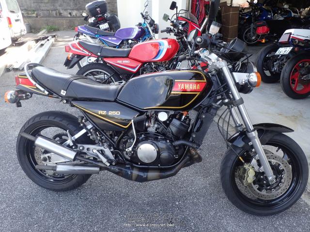 ヤマハ RZ250・250cc・FREE ROAD・疑義車(旧車の為) (2022年07月