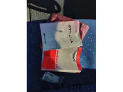 スバル ステラ