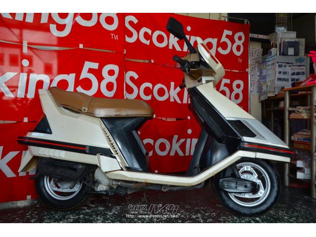 ホンダ スペイシー125 在庫処分保証無し現状販売・ホワイト・125cc