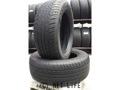 タイヤ 225/55R19