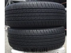 タイヤ 225/55R19