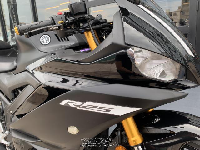 ヤマハ YZF-R25