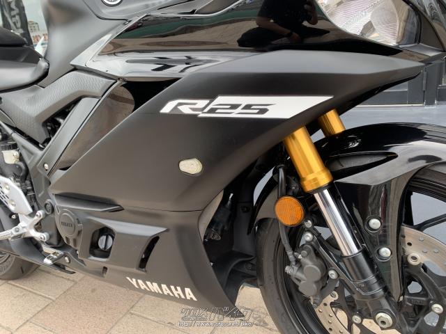ヤマハ YZF-R25