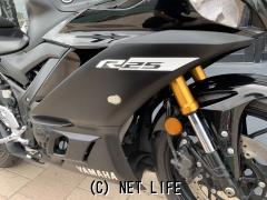 ヤマハ YZF-R25