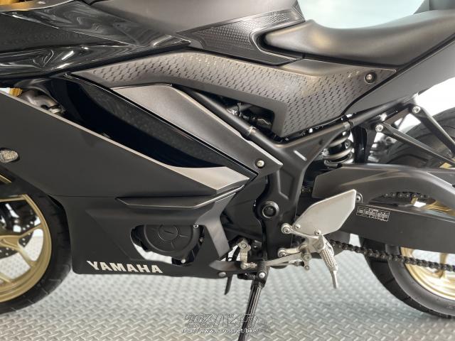 ヤマハ YZF-R3 ABS・2019(R1)初度登録(届出)年・マッドブラック・320cc