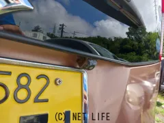 スズキ パレット