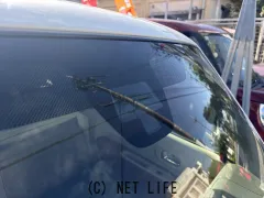 スズキ アルトラパン