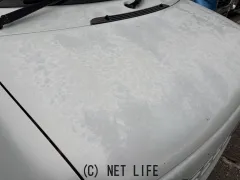 スズキ アルトラパン