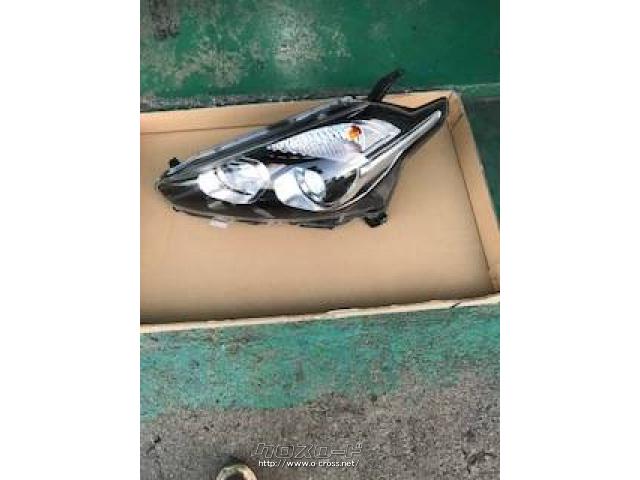 電装系 ハロゲンライト