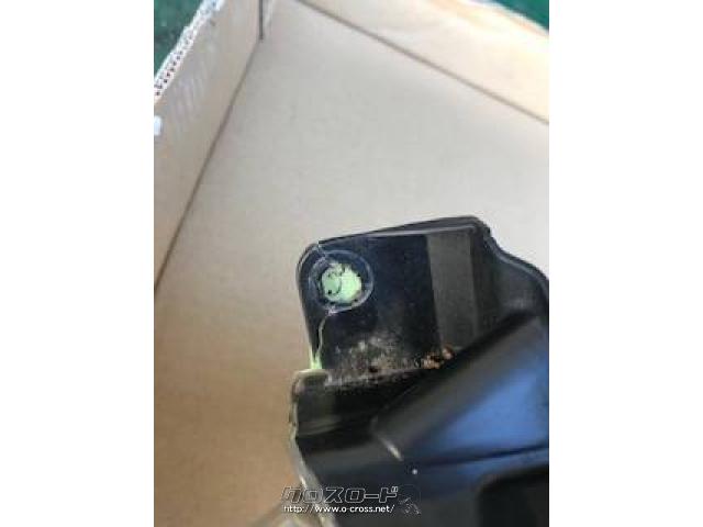 電装系 ハロゲンライト