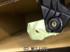 電装系 ハロゲンライト左