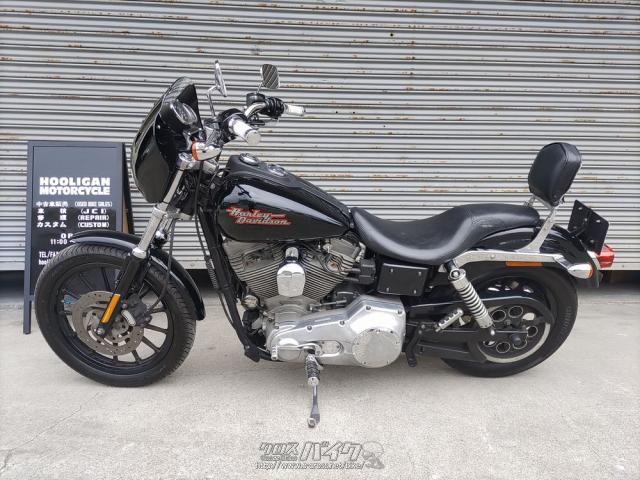 ビカクシダ バーレーン 大株 2025年最新】comolebi_plantsの人気