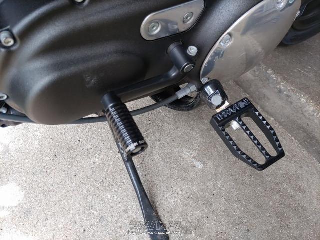 THRASHINシフトペグ・フットペグ ハーレーダビッドソン スポーツスターXL1200