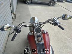 ハーレーダビッドソン ソフテイル