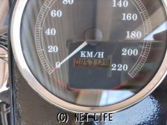 ハーレーダビッドソン ソフテイル