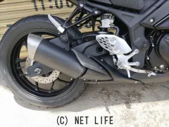 ヤマハ YZF-R25