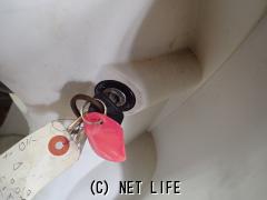 ホンダ ジョルノクレア